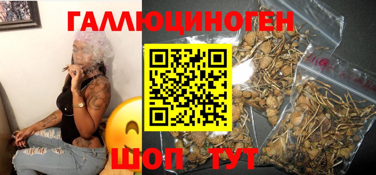 Грозный  Галлюциногенные грибы Magic Shrooms  даркнет сайт  Вход с VPN 
