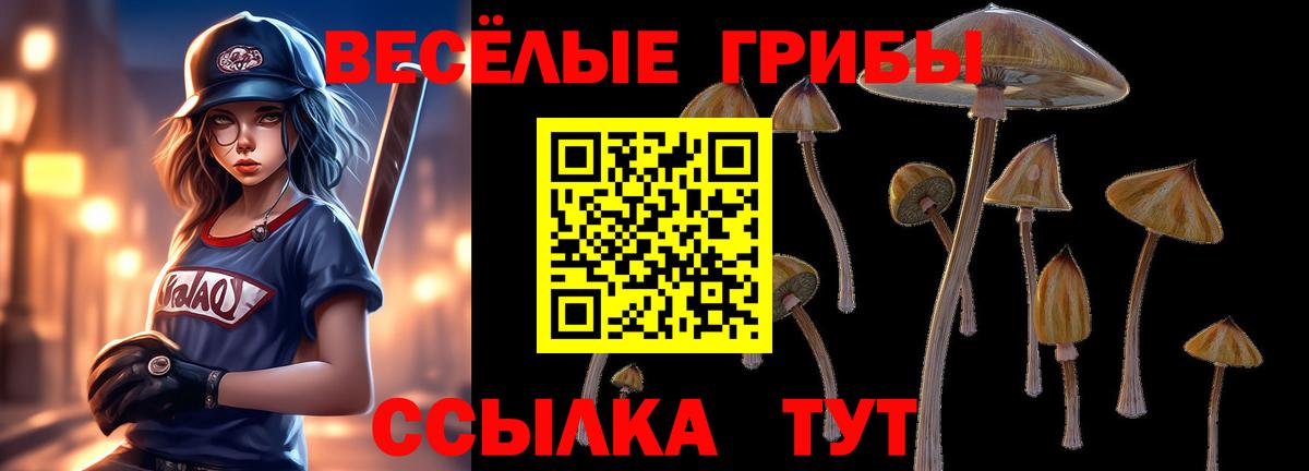 Галлюциногенные грибы Psilocybine cubensis Грозный